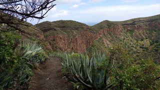 GC-Caldera de Bandama 2026-015.jpg